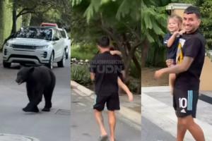 驚魂時刻！在路上遇到一頭熊，安赫爾-科雷亞抱著2歲女兒連連后退