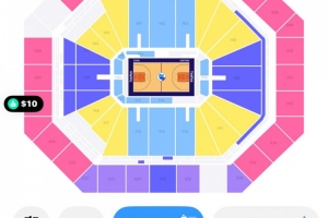 離譜！WNBA總決賽G3最低票價(jià)僅需10美元！