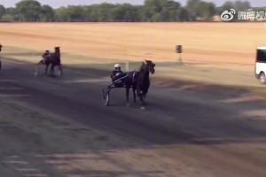 比拿冠軍還高興??！約老師看到自己的賽馬沖線獲勝激動揮舞雙臂