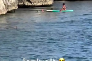 ??騎士管理層心頭一驚！米切爾海邊玩耍從數(shù)米高跳進(jìn)海里