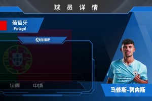 努內(nèi)斯球員集錦：來自葡萄牙的中前場多面手