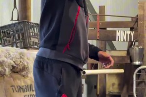 AC米蘭社媒發(fā)布視頻！大家在野生動物公園參觀，氣氛很融洽