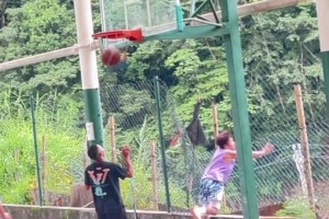 打籃球的最高境界就是：不僅球進(jìn)了，人也進(jìn)了??????