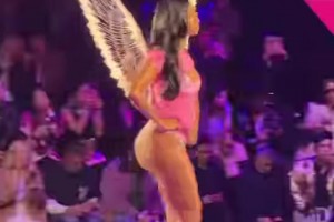 休賽期業(yè)務(wù)！WNBA中鋒安潔-里斯登上維密內(nèi)衣秀