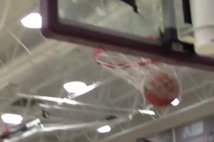 差點(diǎn)沒認(rèn)出來！普爾和大球&三球第一次碰面，一個(gè)比一個(gè)風(fēng)騷