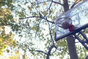 網(wǎng)紅惡搞當年的詹韋連線：不管韋德怎么扔，詹姆斯都能拿到！